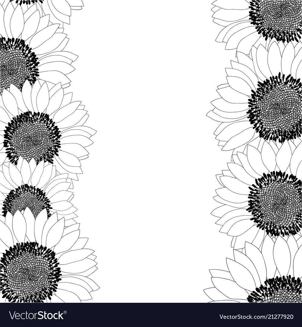 Sunflower Border Design Black And White - HD Wallpaper 
