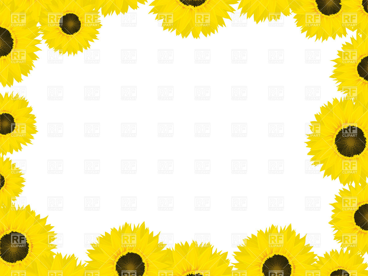 Sunflower Clipart Background - Sunflower Background Design - HD Wallpaper 