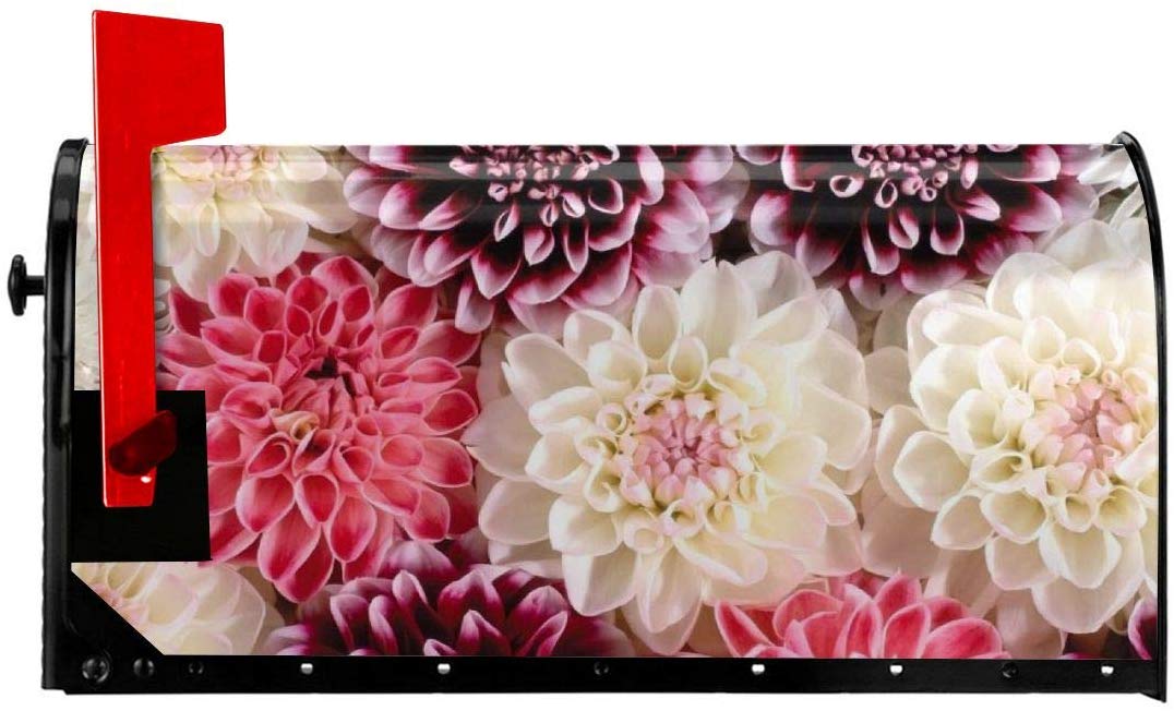 High Resolution Beautiful Flowers Hd - HD Wallpaper 