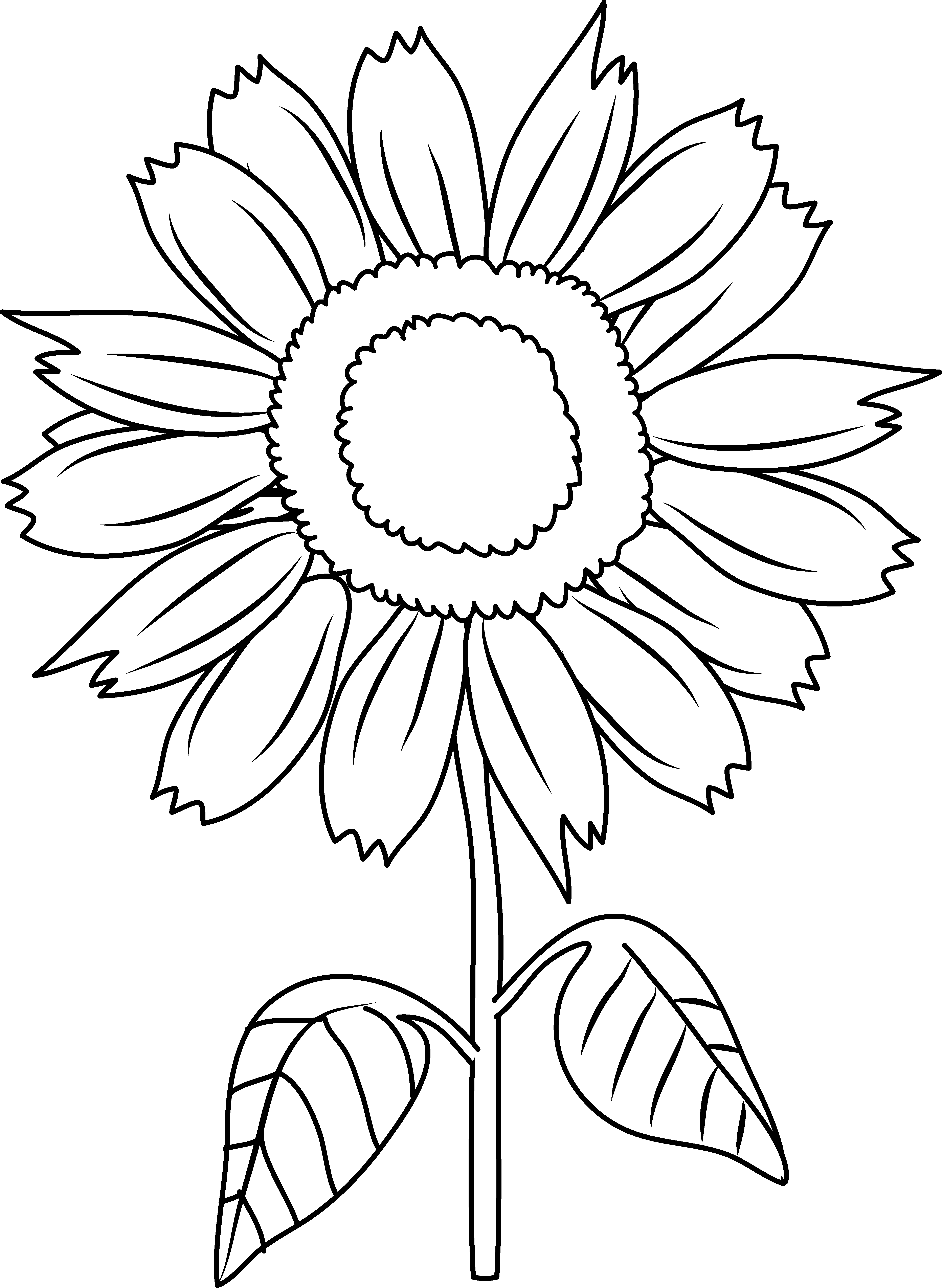 Pretty Sunflower Coloring Page - Sunflower Png Transparent Black - HD Wallpaper 