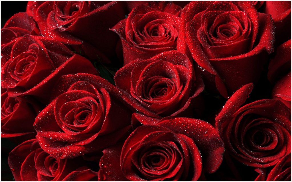 Mobile Love Wallpaper Hd - HD Wallpaper 