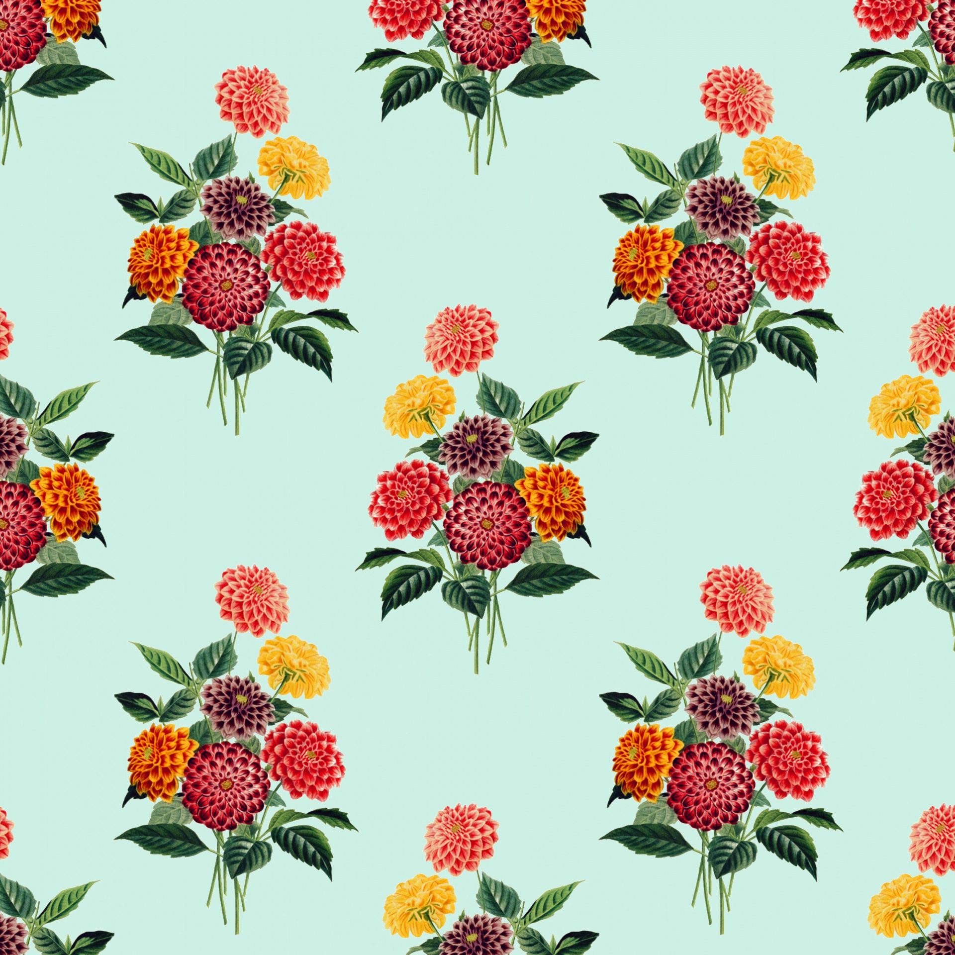 Flowers Dahlia Flower Free Photo Public Domain Vintage 19x19 Wallpaper Teahub Io