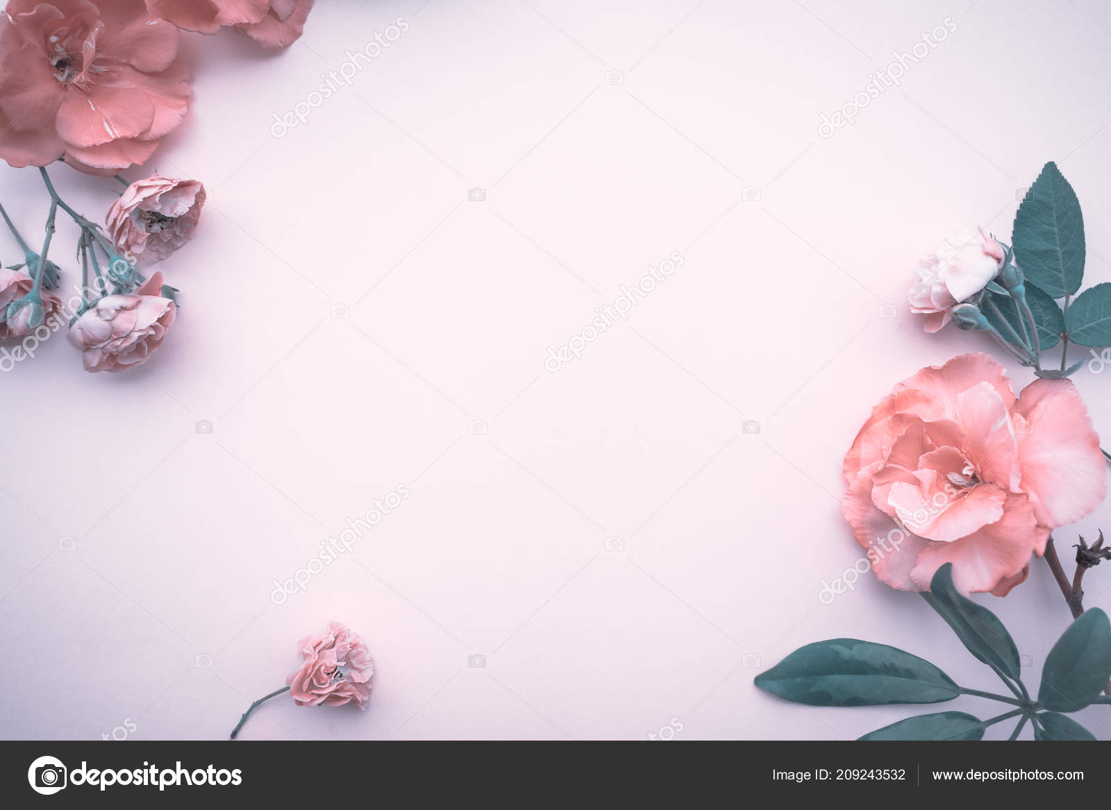 Floral Border - HD Wallpaper 