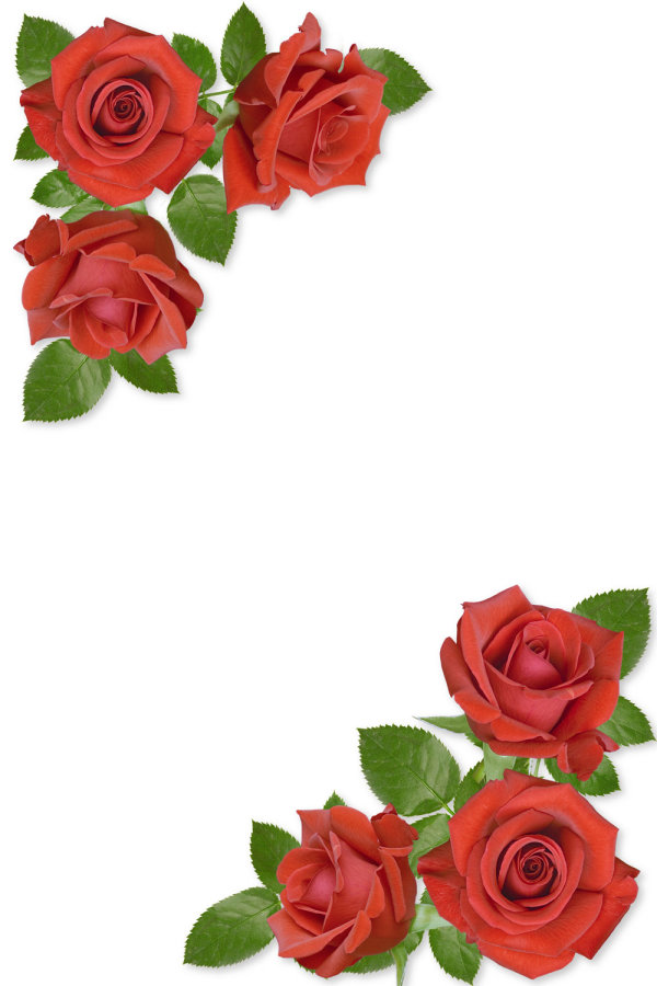 Pix For Red Rose Border Design - Red Rose Jpg - HD Wallpaper 