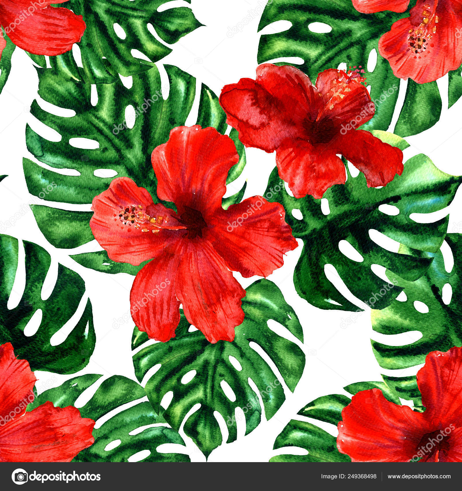 Hibiscus Flower - HD Wallpaper 