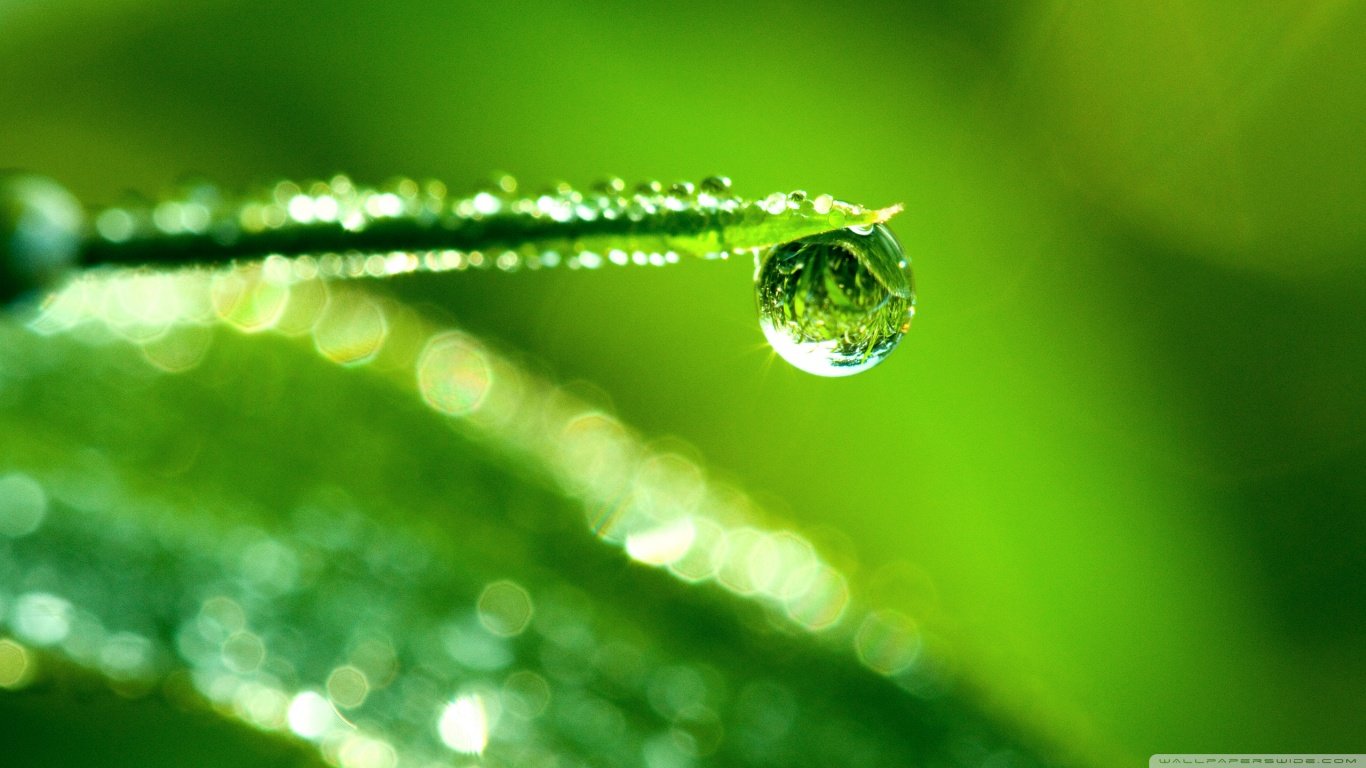 Free Download Water Drop Wallpaper Id - Water Drop Wallpaper Green - HD Wallpaper 