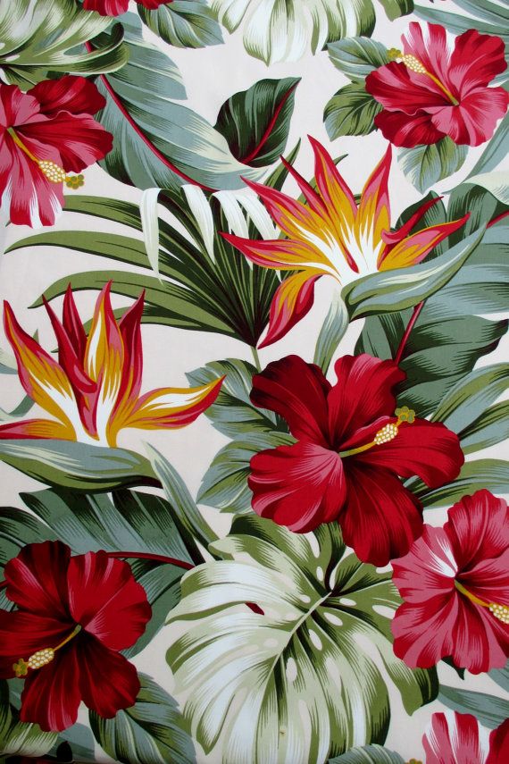 Tropical Flower Wallpaper For Iphone - HD Wallpaper 