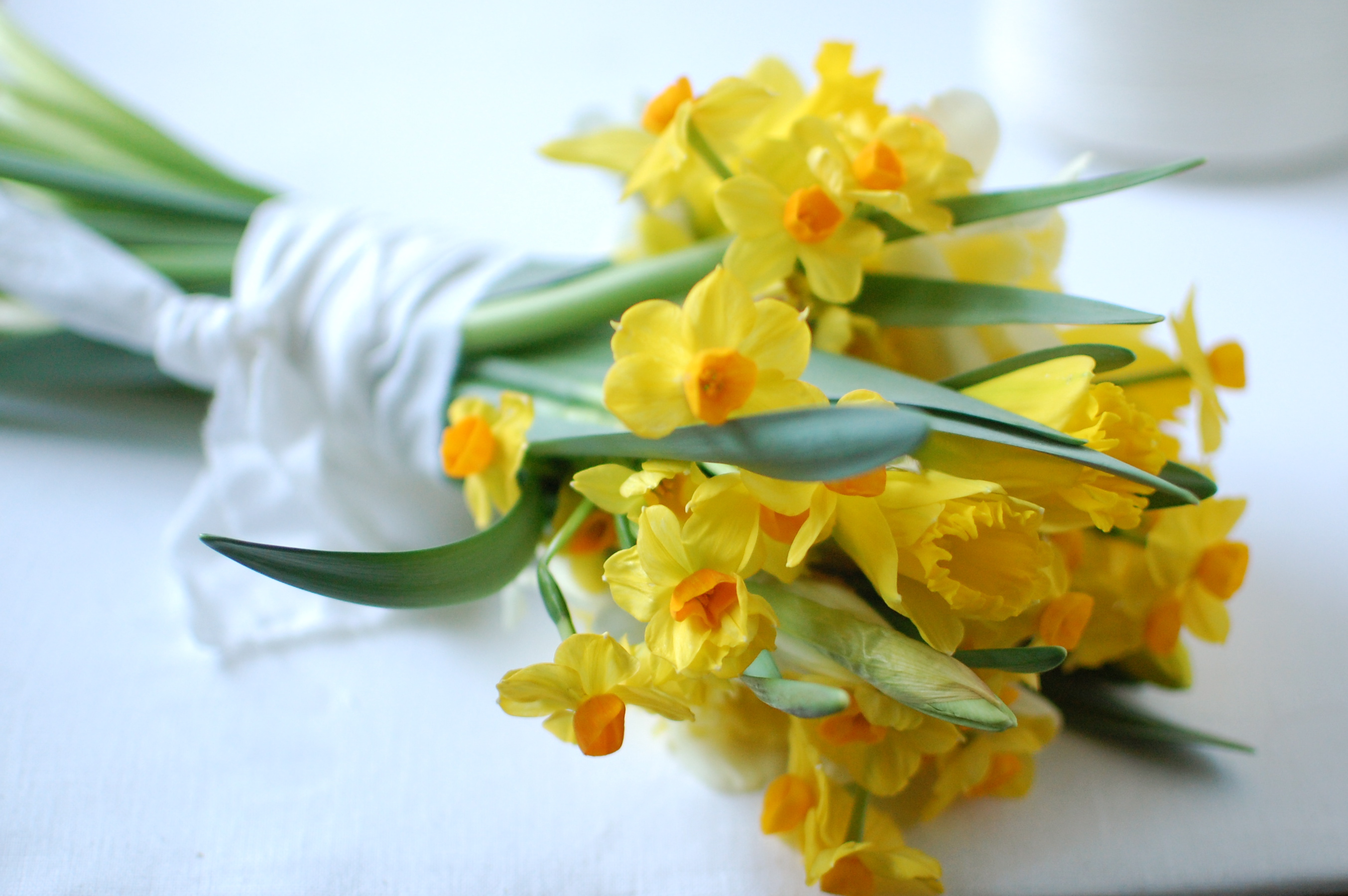 Daffodil Bouquet Of Spring Flowers - HD Wallpaper 