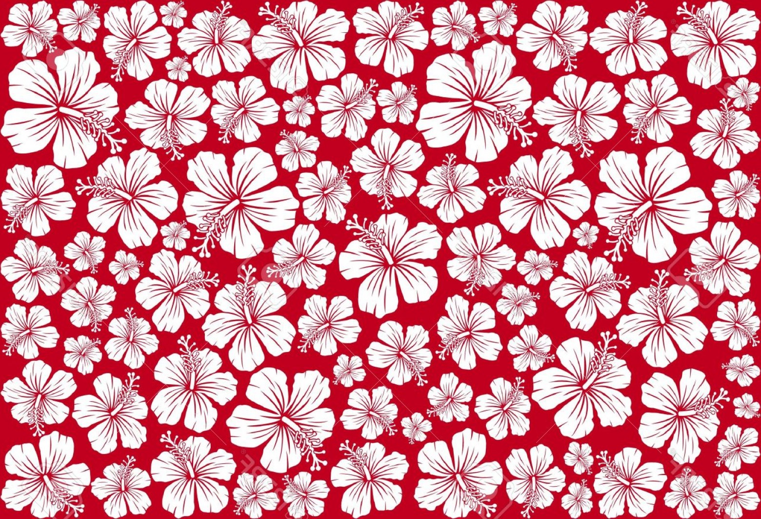 Hawaiian Flower Seamless Vector Pattern - Circle - HD Wallpaper 