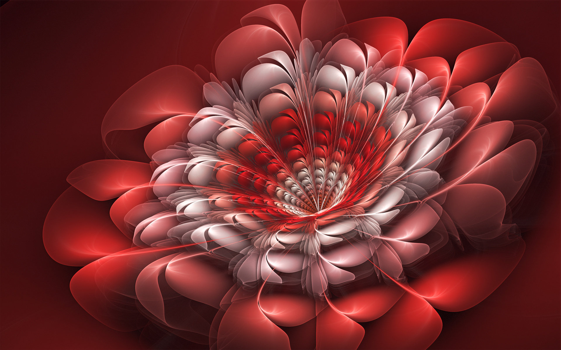 Fractal Flower Shape 3d - HD Wallpaper 