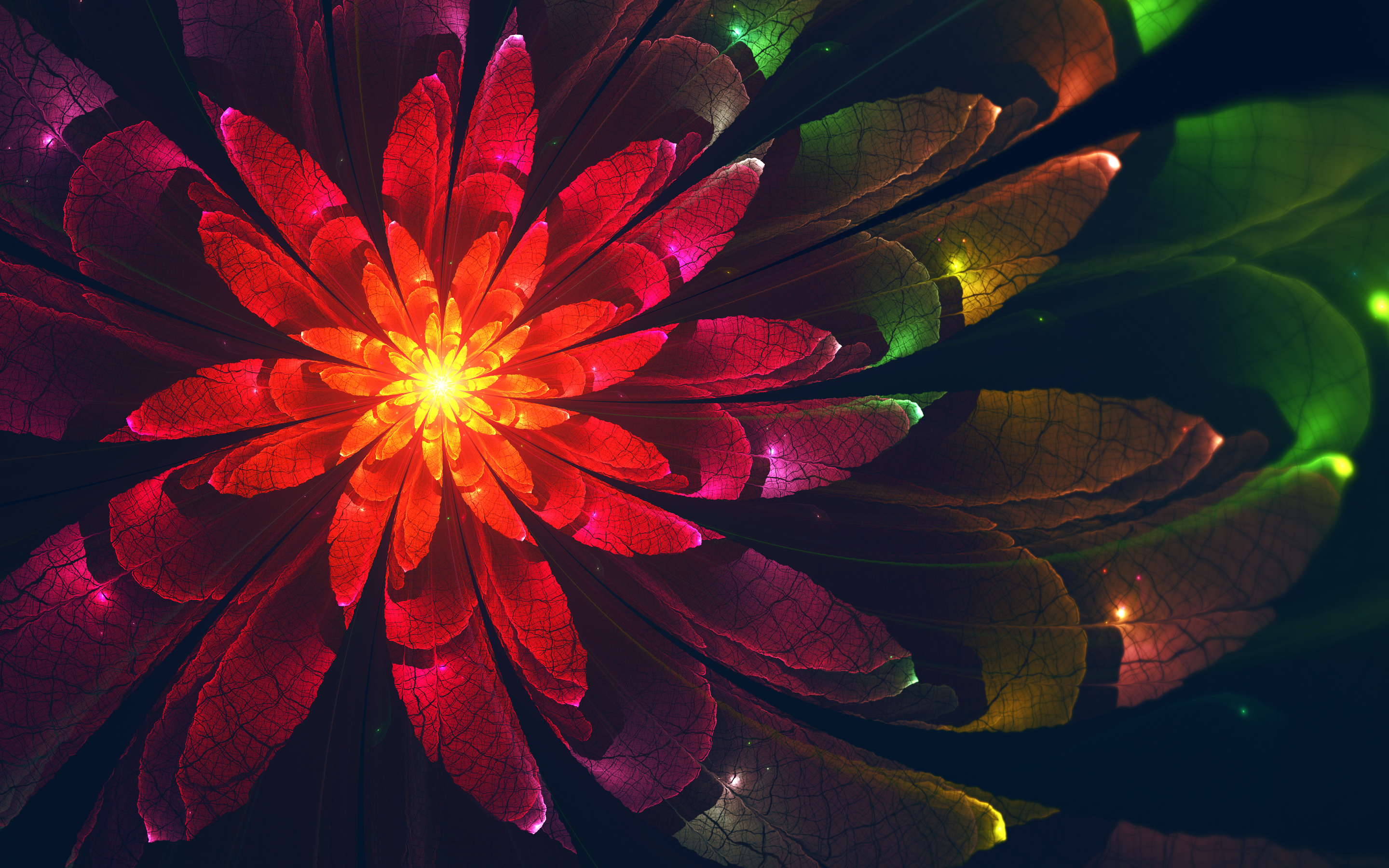 Display Resolution - HD Wallpaper 