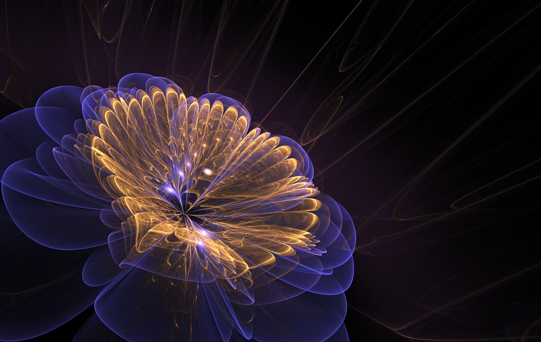 Fractal Flower 2 / 1900 X 1200 / Fantasy / Photography - HD Wallpaper 