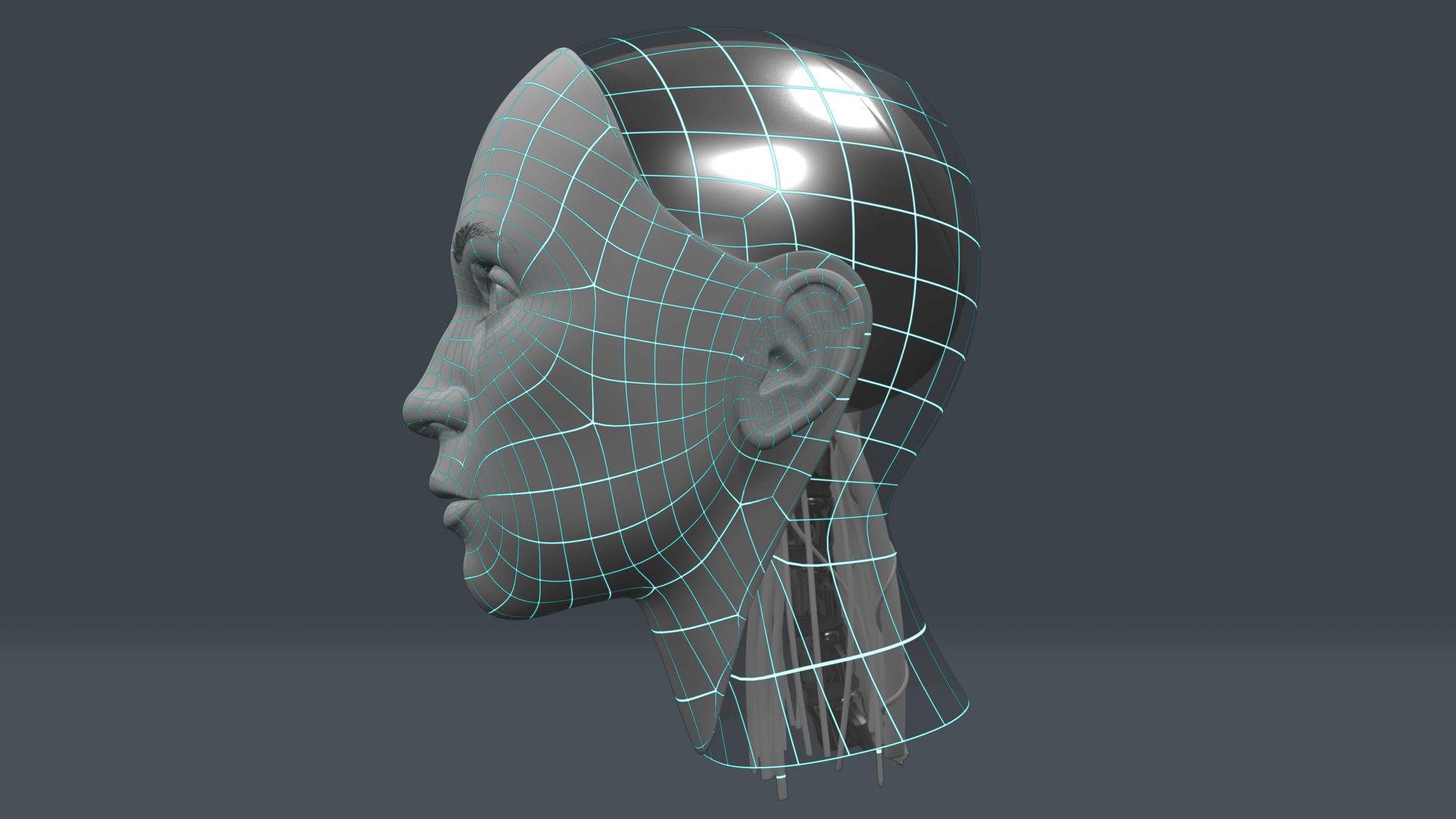 3d Modeling - HD Wallpaper 