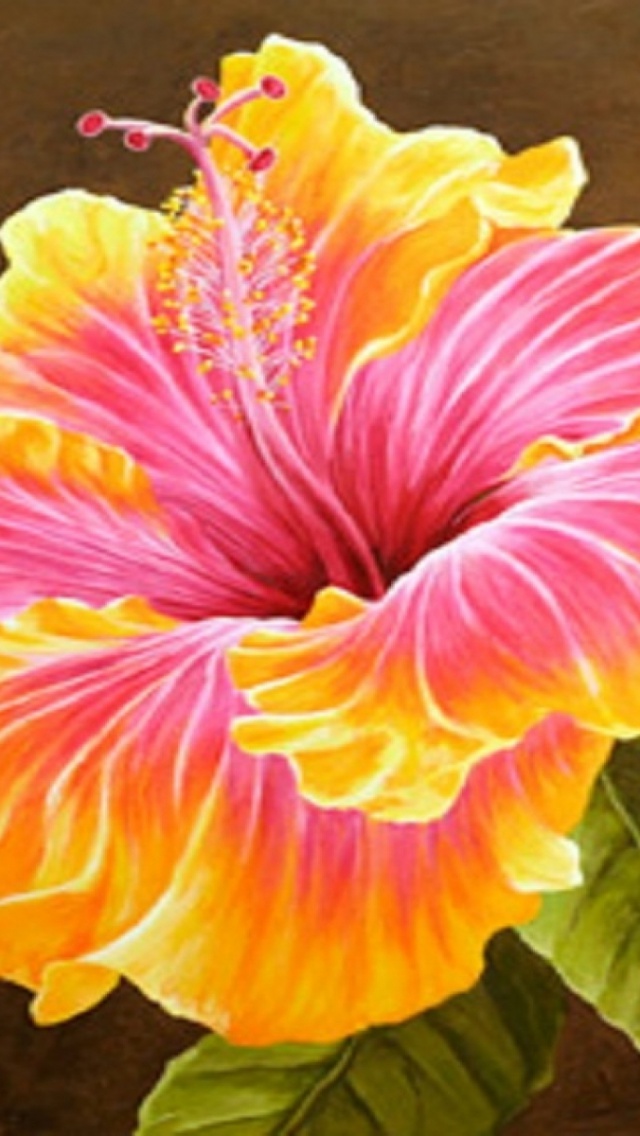 Hibiscus Flower Wallpaper For Iphone - HD Wallpaper 