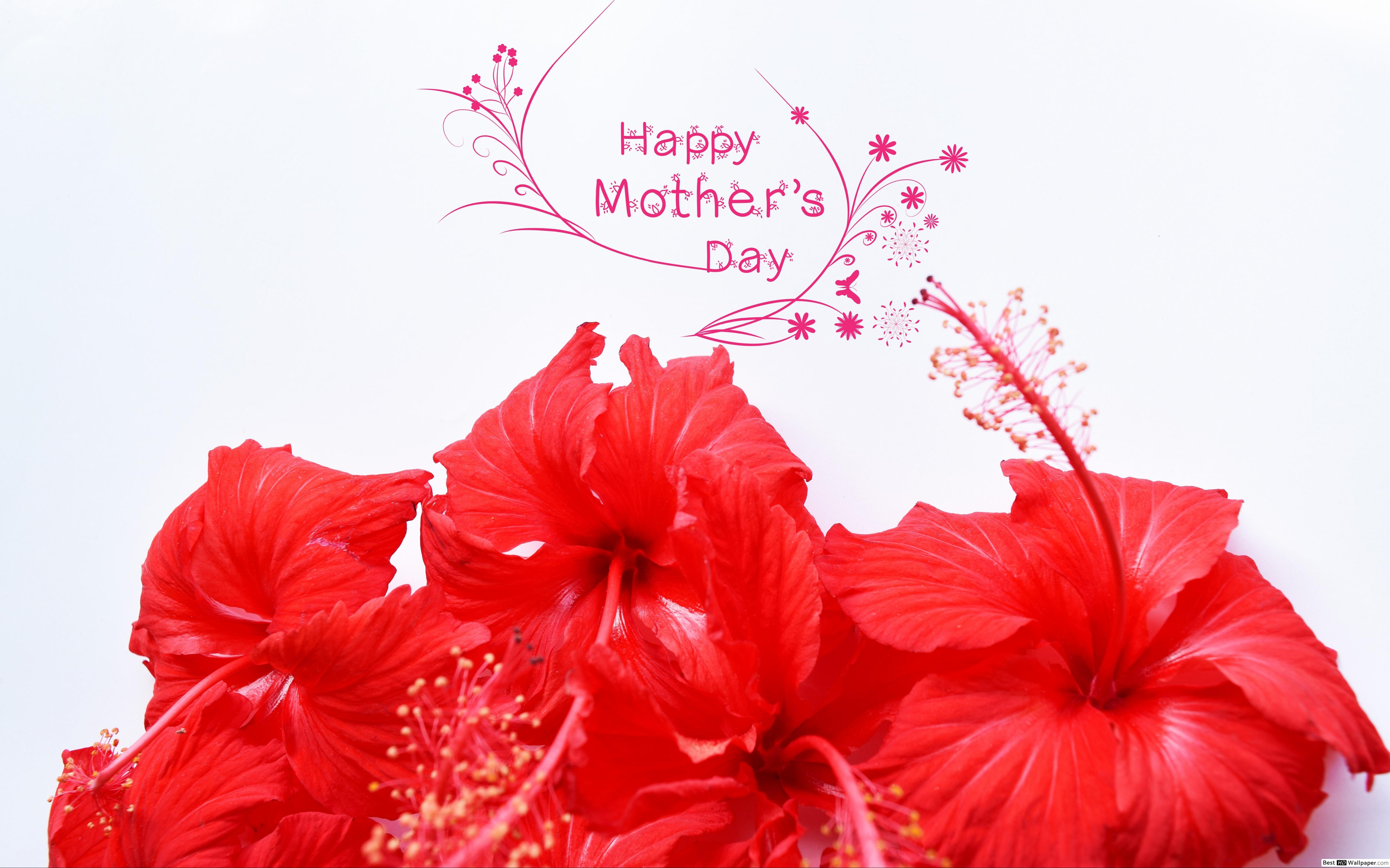 Hawaii Flower Happy Mothers Day - HD Wallpaper 