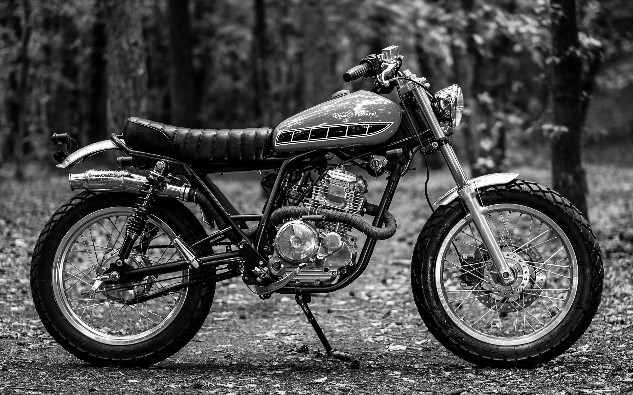 Deus Ex Machina, Retro Motorcycles, Forest - Deus Ex Machina 壁紙 - HD Wallpaper 