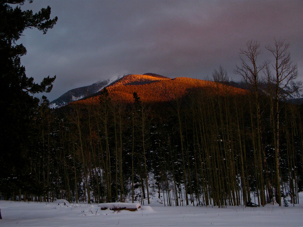 Snow - HD Wallpaper 