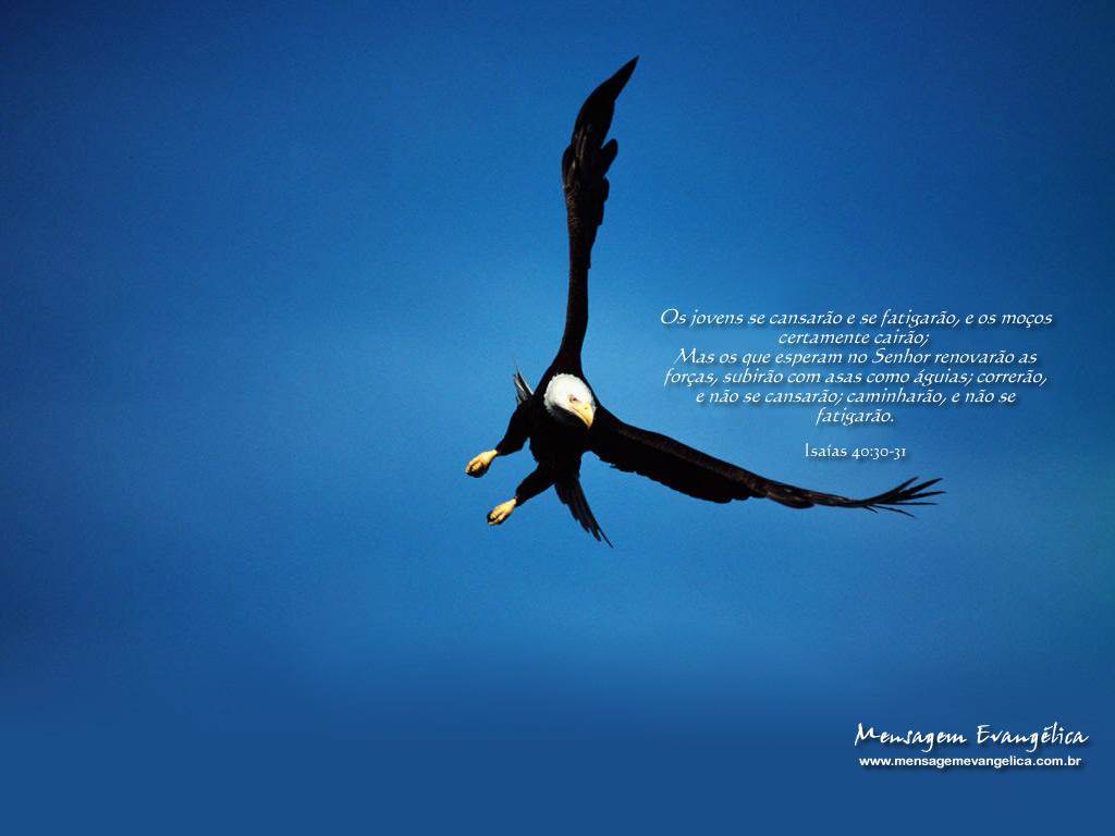 Bible Words - HD Wallpaper 