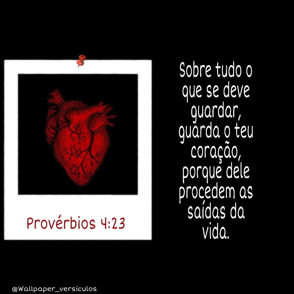 Poster - HD Wallpaper 