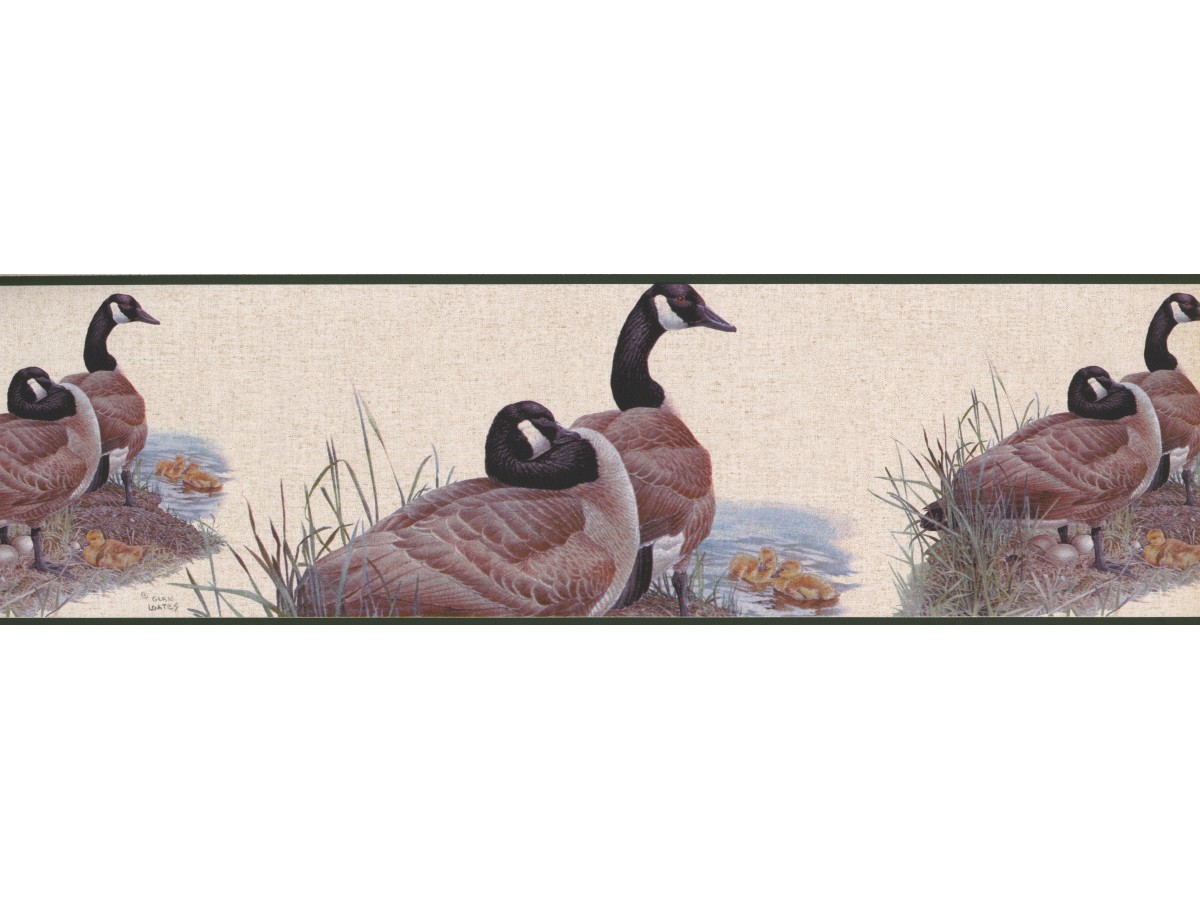 Instituto Bíblico - Design - HD Wallpaper 