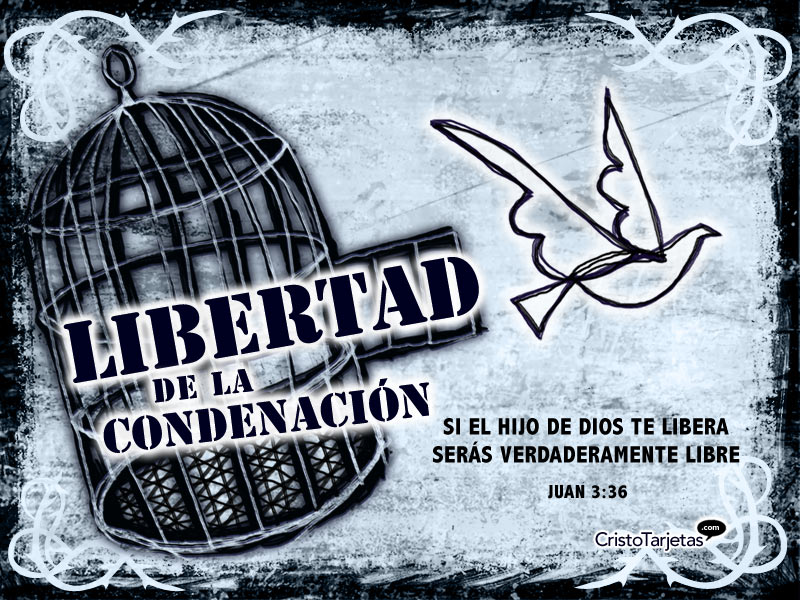 Juan 3 - - Bible - HD Wallpaper 