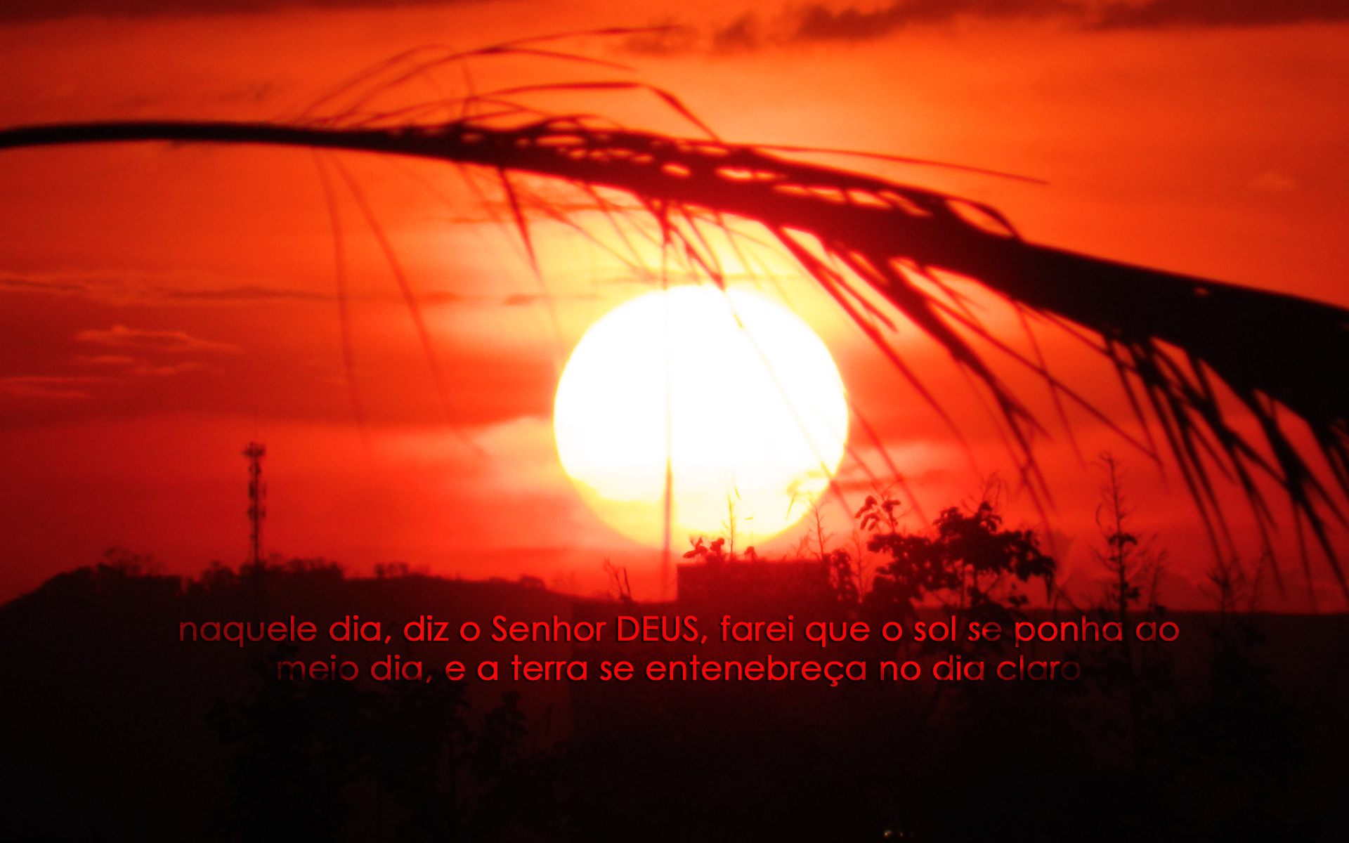 Sunset - HD Wallpaper 