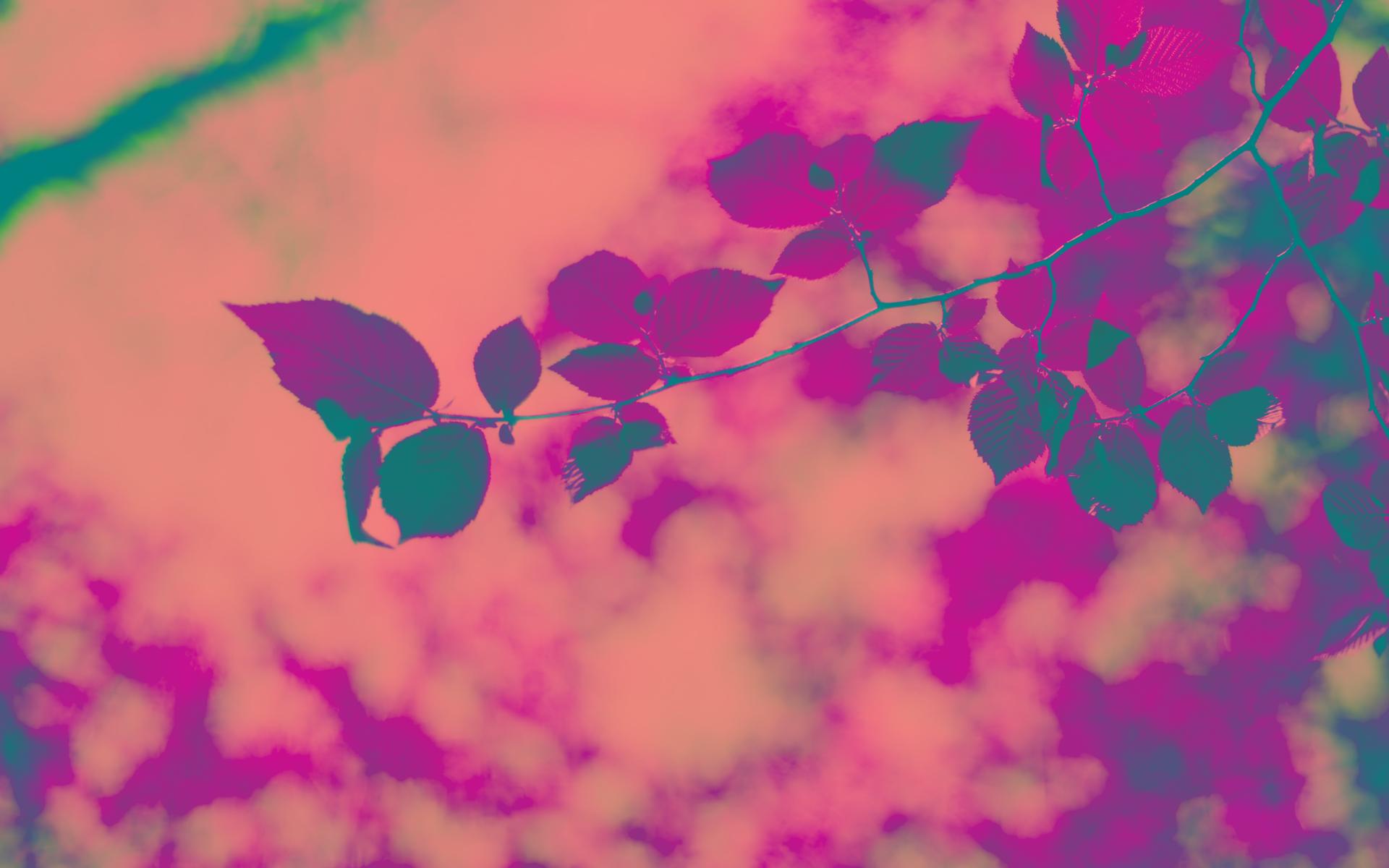 Nature Wallpaper For Pc - Floral Design - HD Wallpaper 