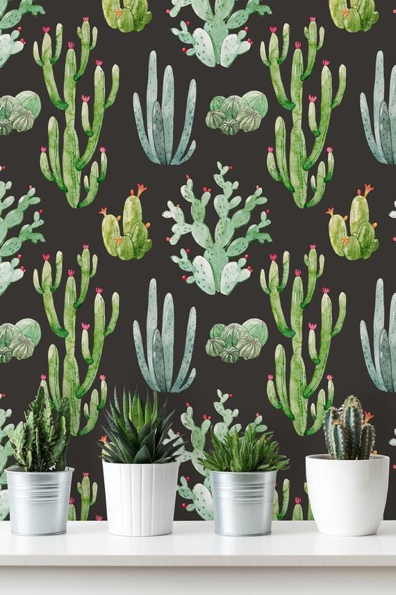 Wallpaper - HD Wallpaper 