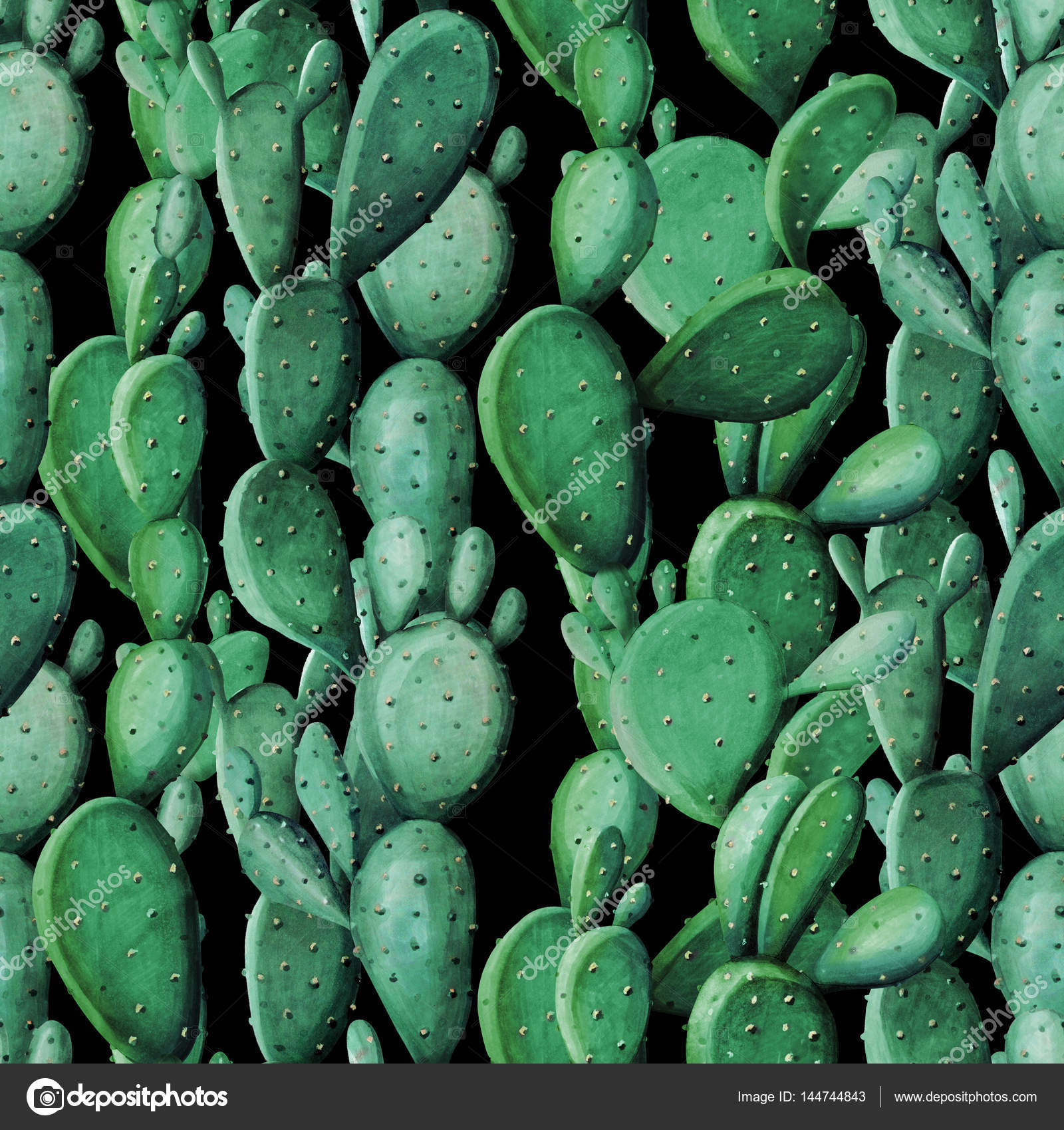 Cactus - HD Wallpaper 