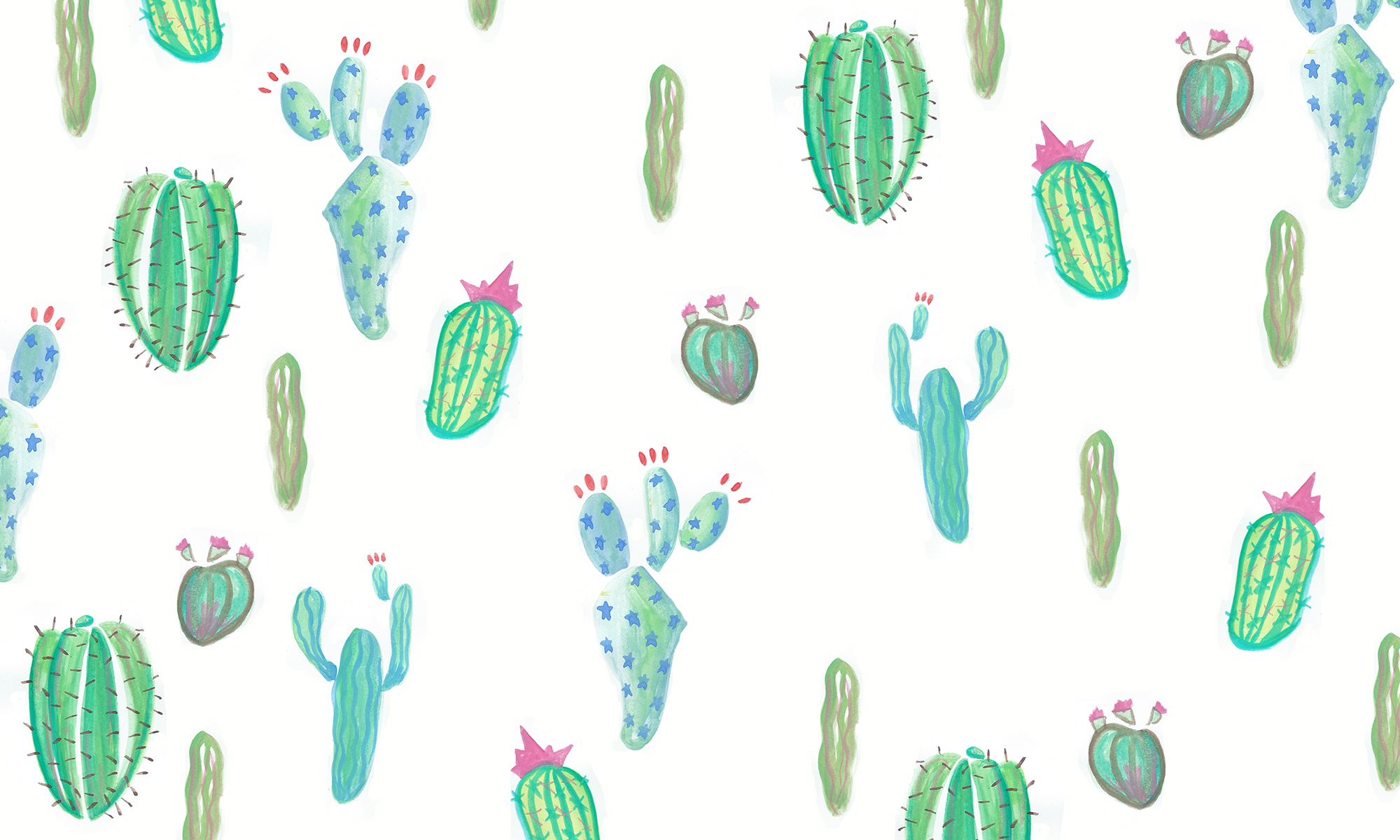 Cactus Wallpapers - HD Wallpaper 