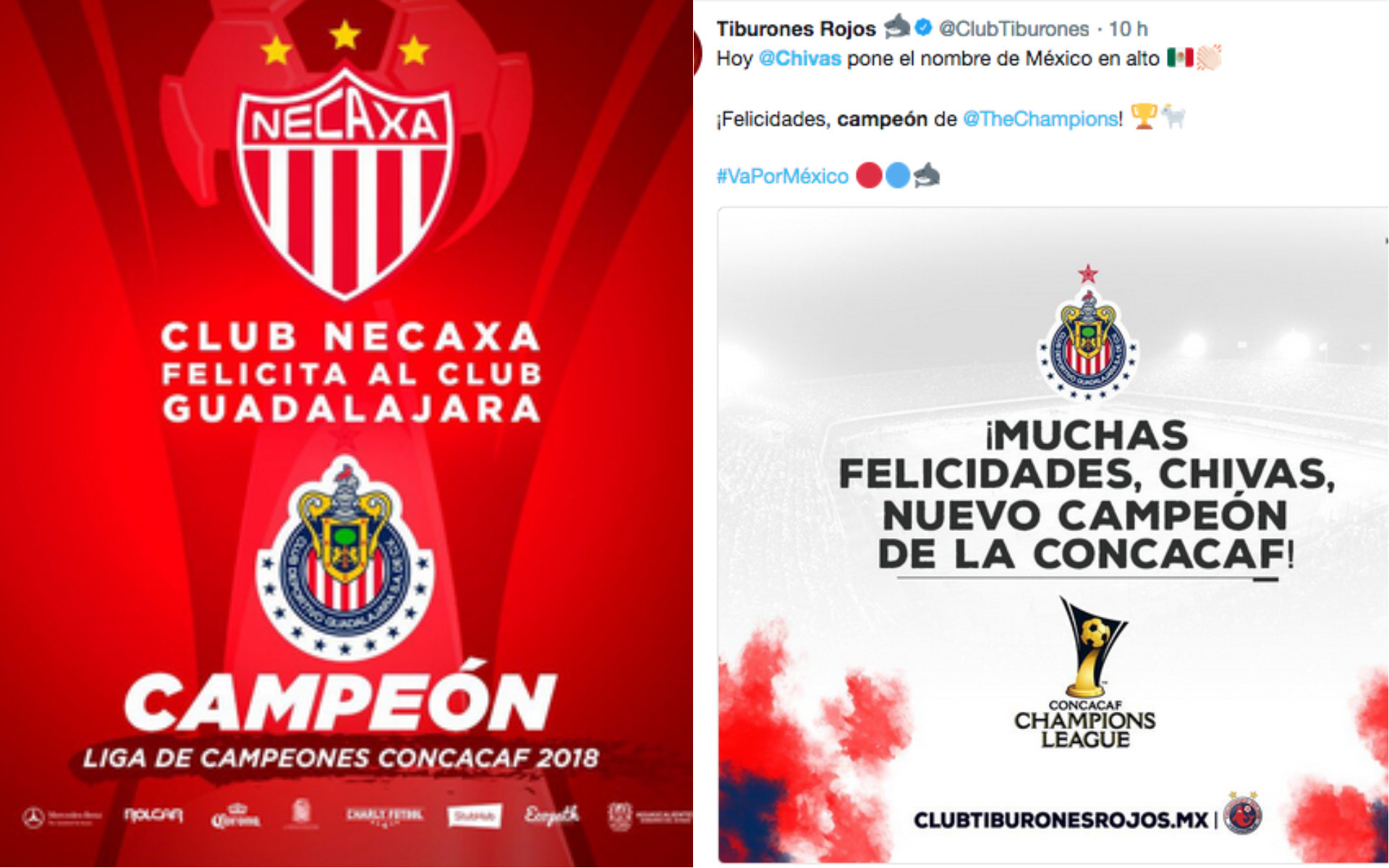 Los Grandes No Felicitaron A Chivas Por El Campeonato - Chivas De Guadalajara - HD Wallpaper 