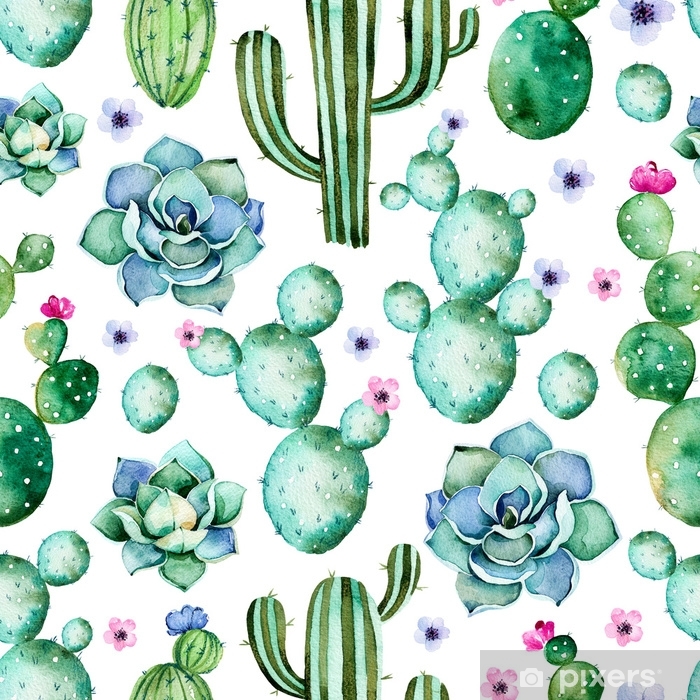 Cacti And Succulents Watercolor - HD Wallpaper 