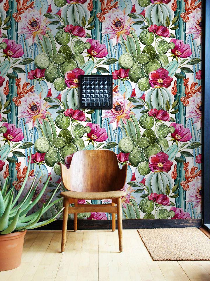 Cactus Flowers - HD Wallpaper 