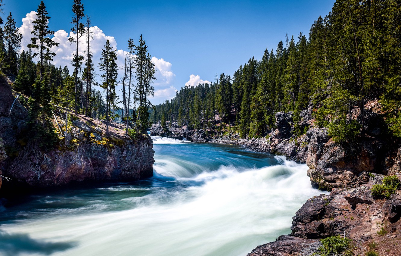 Photo Wallpaper Forest, Trees, River, Bank, Yellowstone - Yellowstone River - HD Wallpaper 