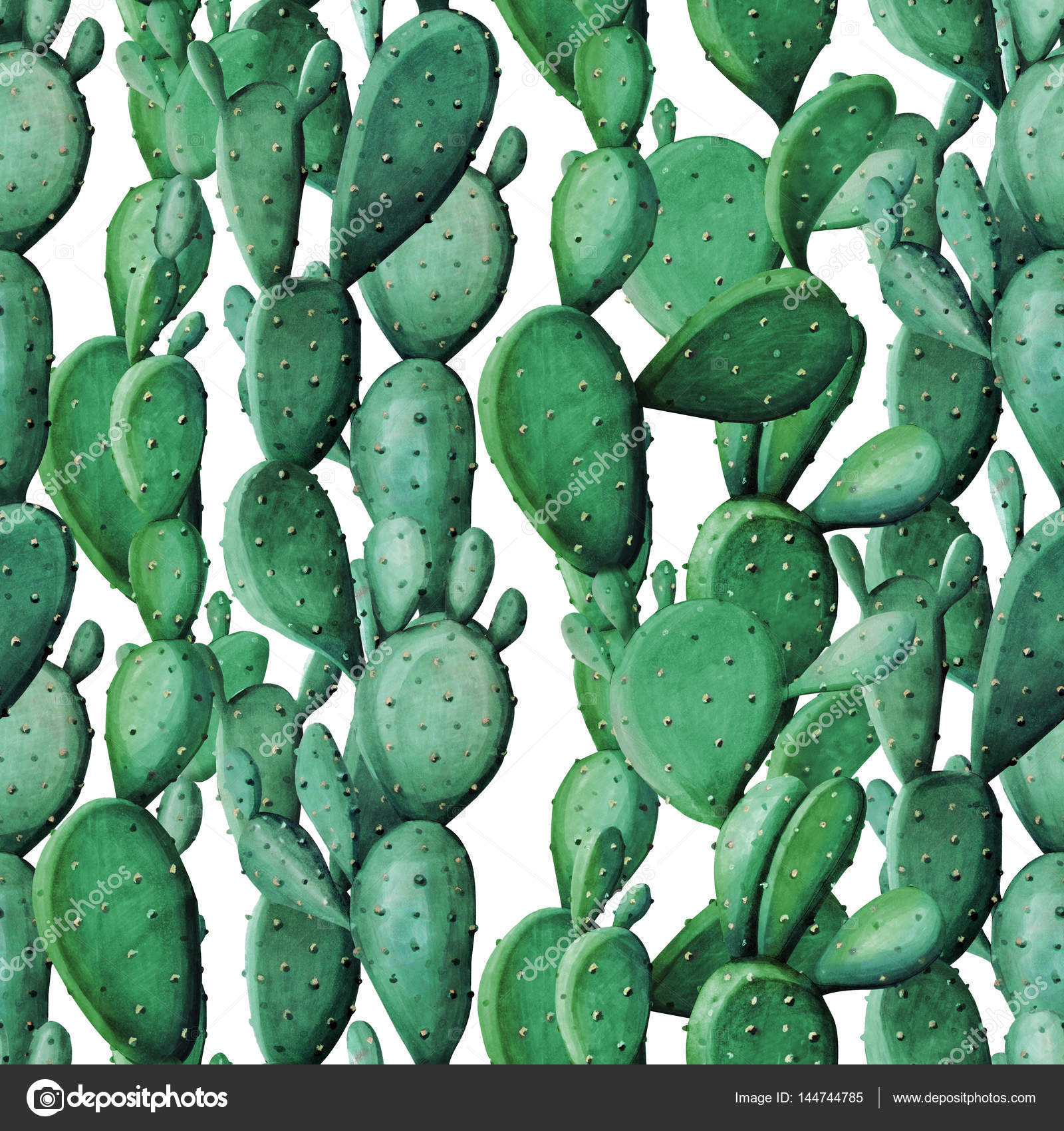 Watercolour Prickly Pear Background - 1600x1700 Wallpaper Watercolour Prickly Pear Background - 1600x1700 Wallpaper