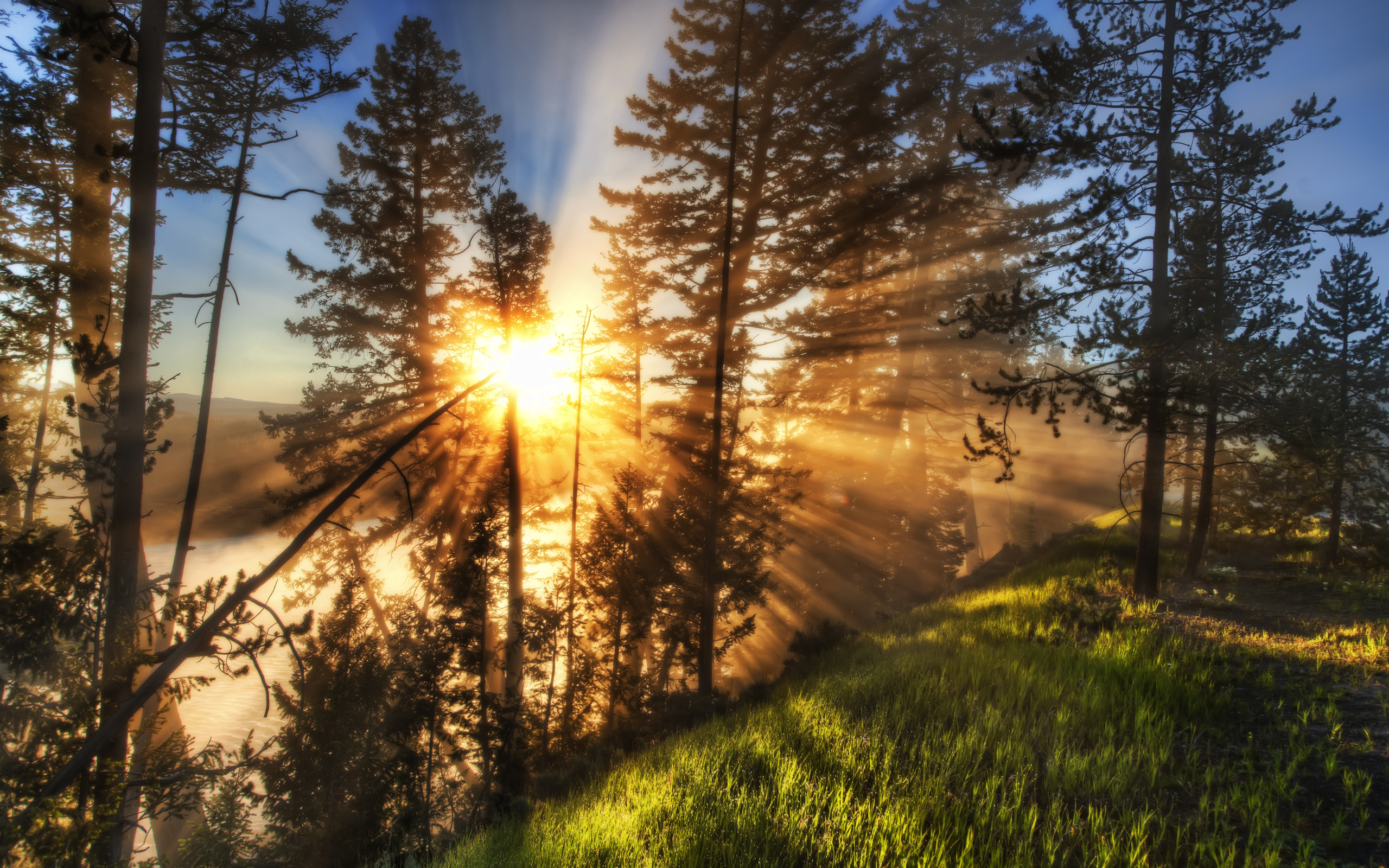 Widescreen Creative Yellowstone Pictures - Morning With Bright Sun - HD Wallpaper 