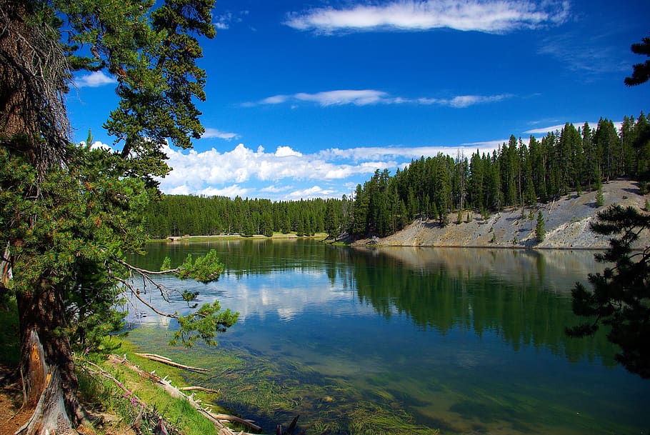 River Above Hayden Valley, Yellowstone, Wyoming, Landscape, - Yellowstone National Park - HD Wallpaper 