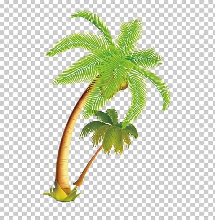 Arecaceae Coconut Tree Png, Clipart, Arecales, Autumn - Star Trek Communicator Png - HD Wallpaper 