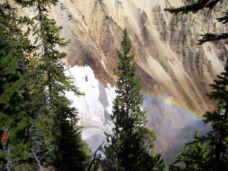 Rainbow At Yellowstone National Park Wallpaper,yellowstone - Shortleaf Black Spruce - HD Wallpaper 