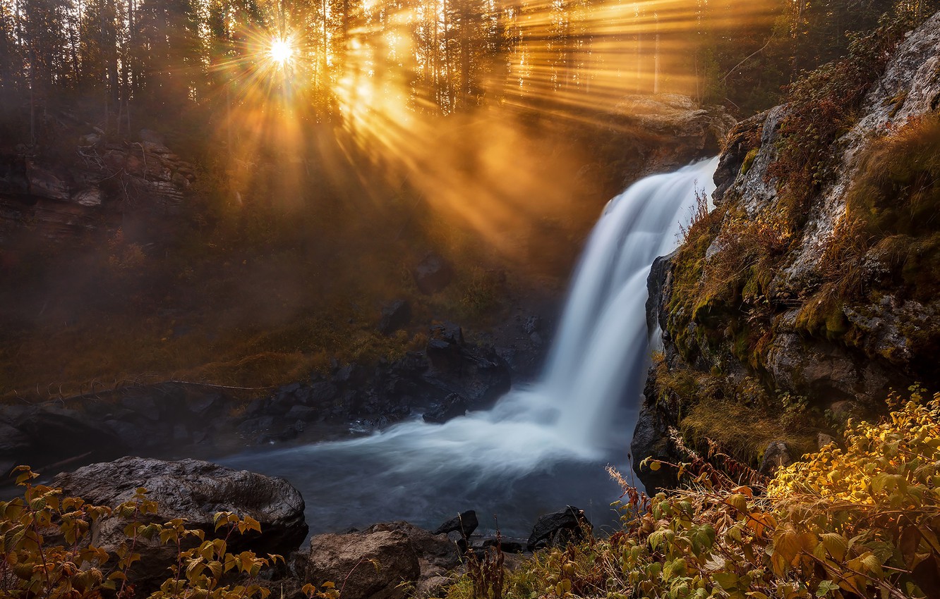 Photo Wallpaper Forest, The Sun, Rays, Waterfall, Wyoming, - Yellowstone National Park - HD Wallpaper 