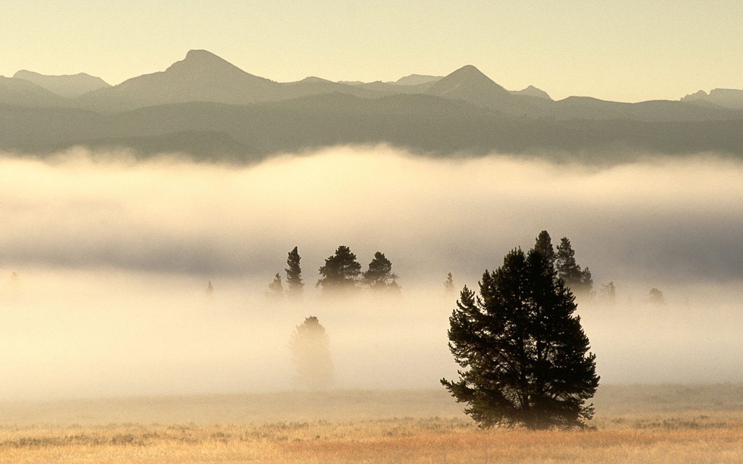 Yellowstone National Park - HD Wallpaper 