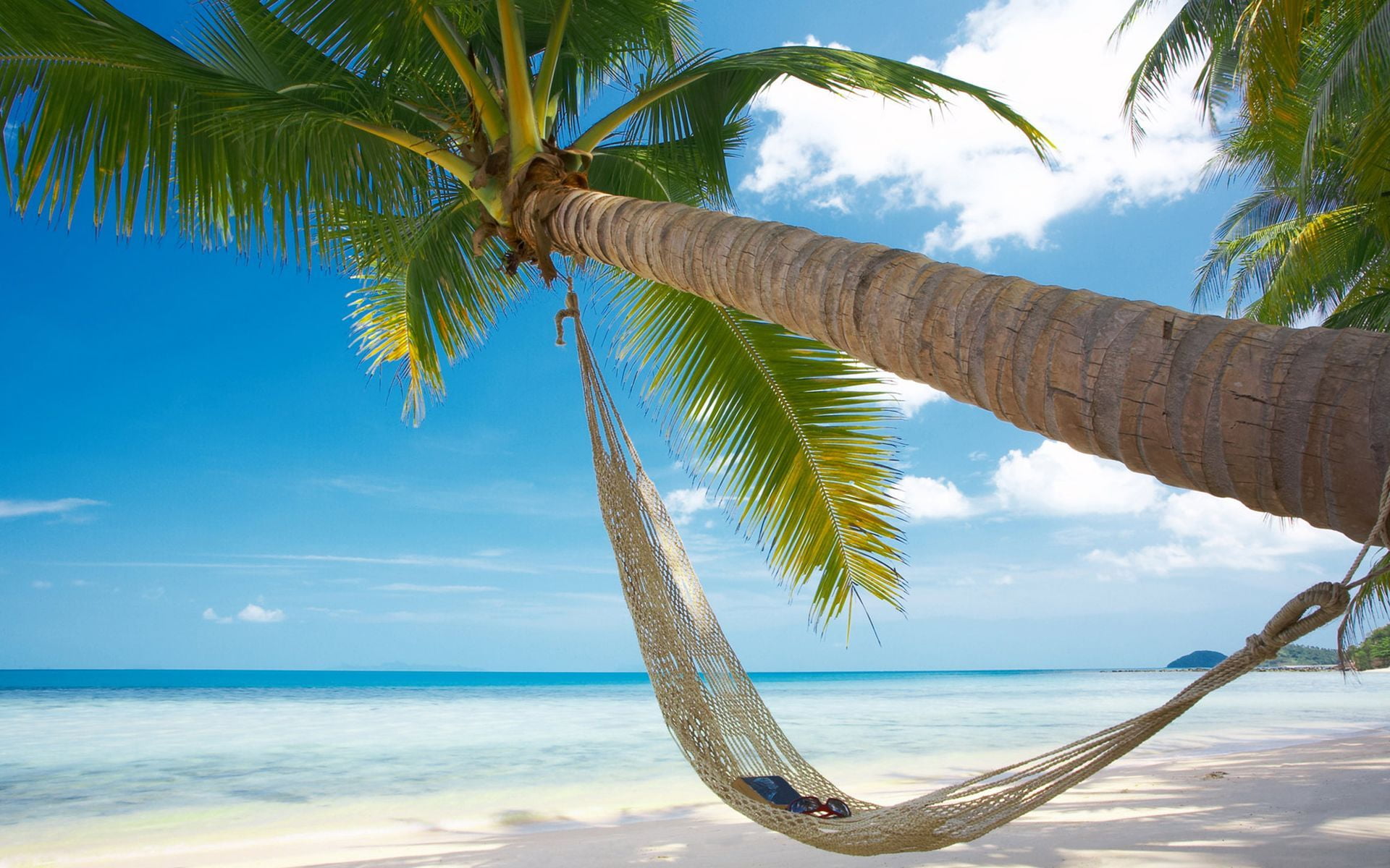 Beach Palm Trees Hammock - HD Wallpaper 