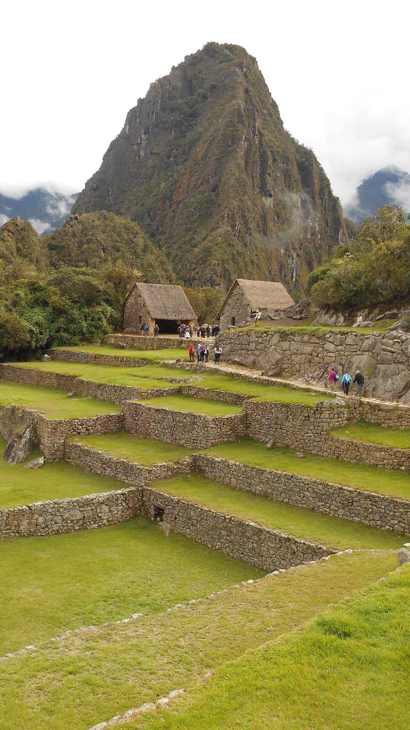 Wallpaper Machu Picchu, Peru, Buildings, Grass - Full Hd Machu Picchu Wallpaper Mobile - HD Wallpaper 