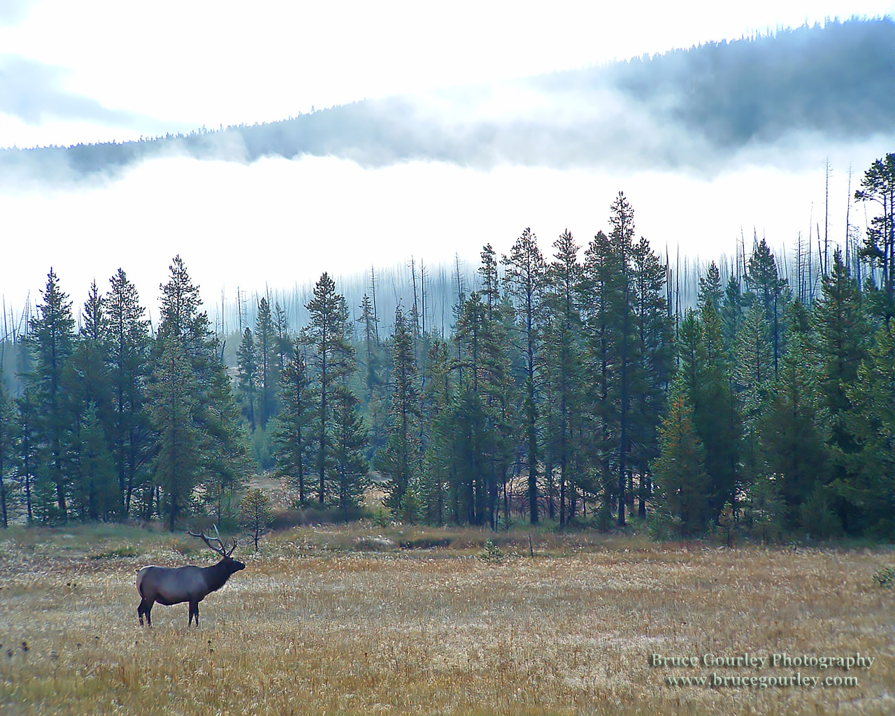 yellowstone ranch 1280x1024 wallpaper