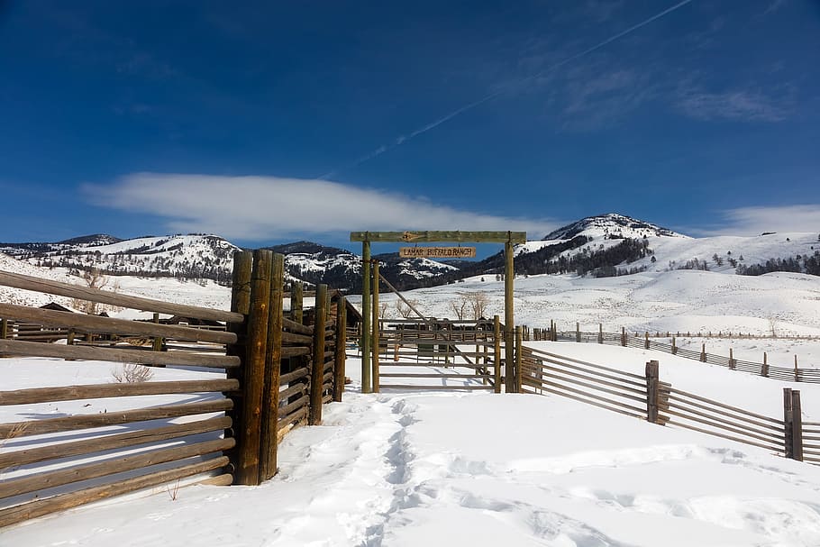 Yellowstone, National Park, Travel, Tourism, Snow, - Yellowstone National Park - HD Wallpaper 