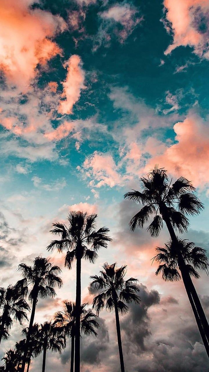 Beautiful Wallpaper For Phone - HD Wallpaper 