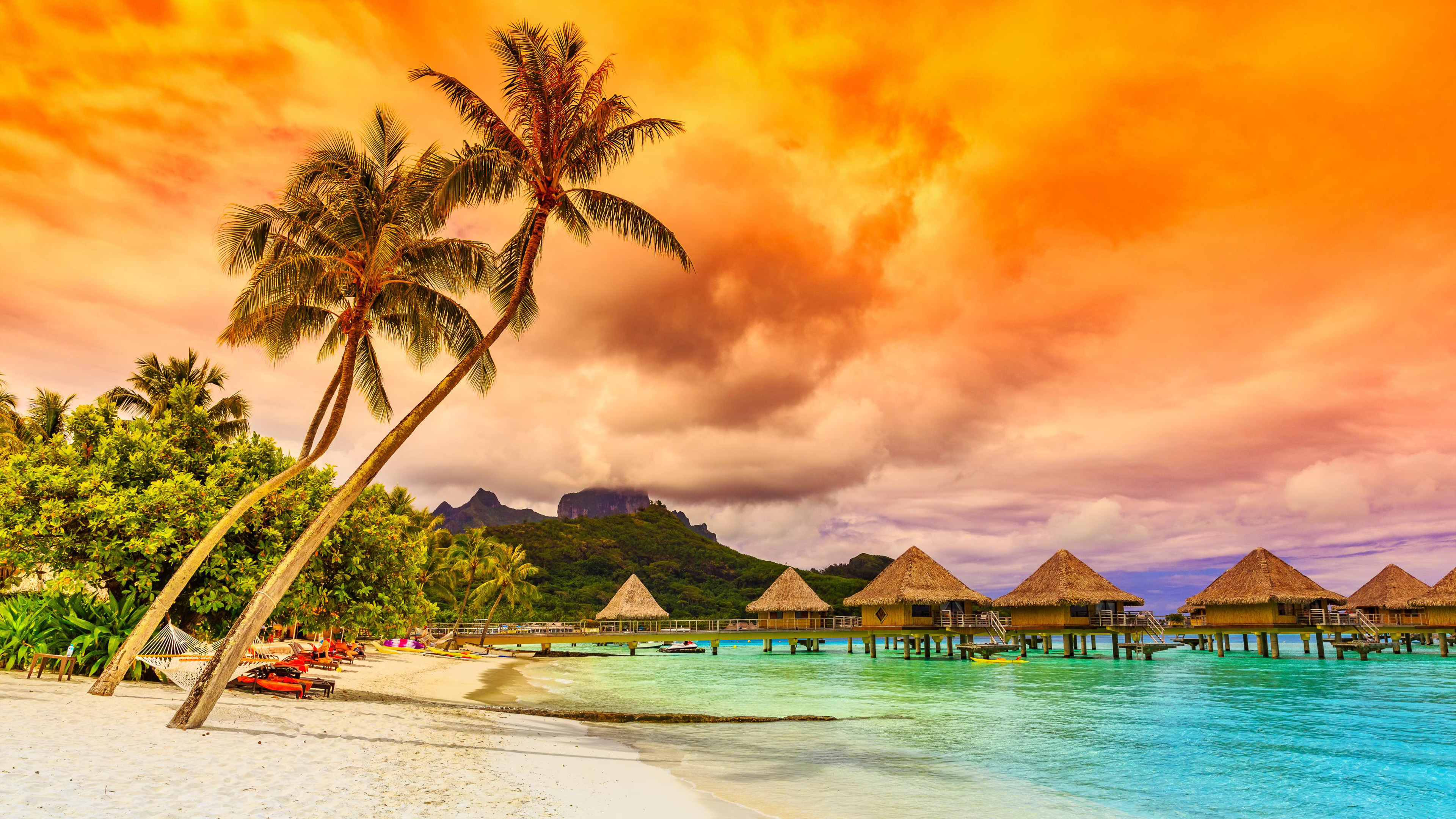 Coconut Tree Wallpaper Hd - 3840x2160 Wallpaper Coconut Tree Wallpaper Hd - 3840x2160 Wallpaper