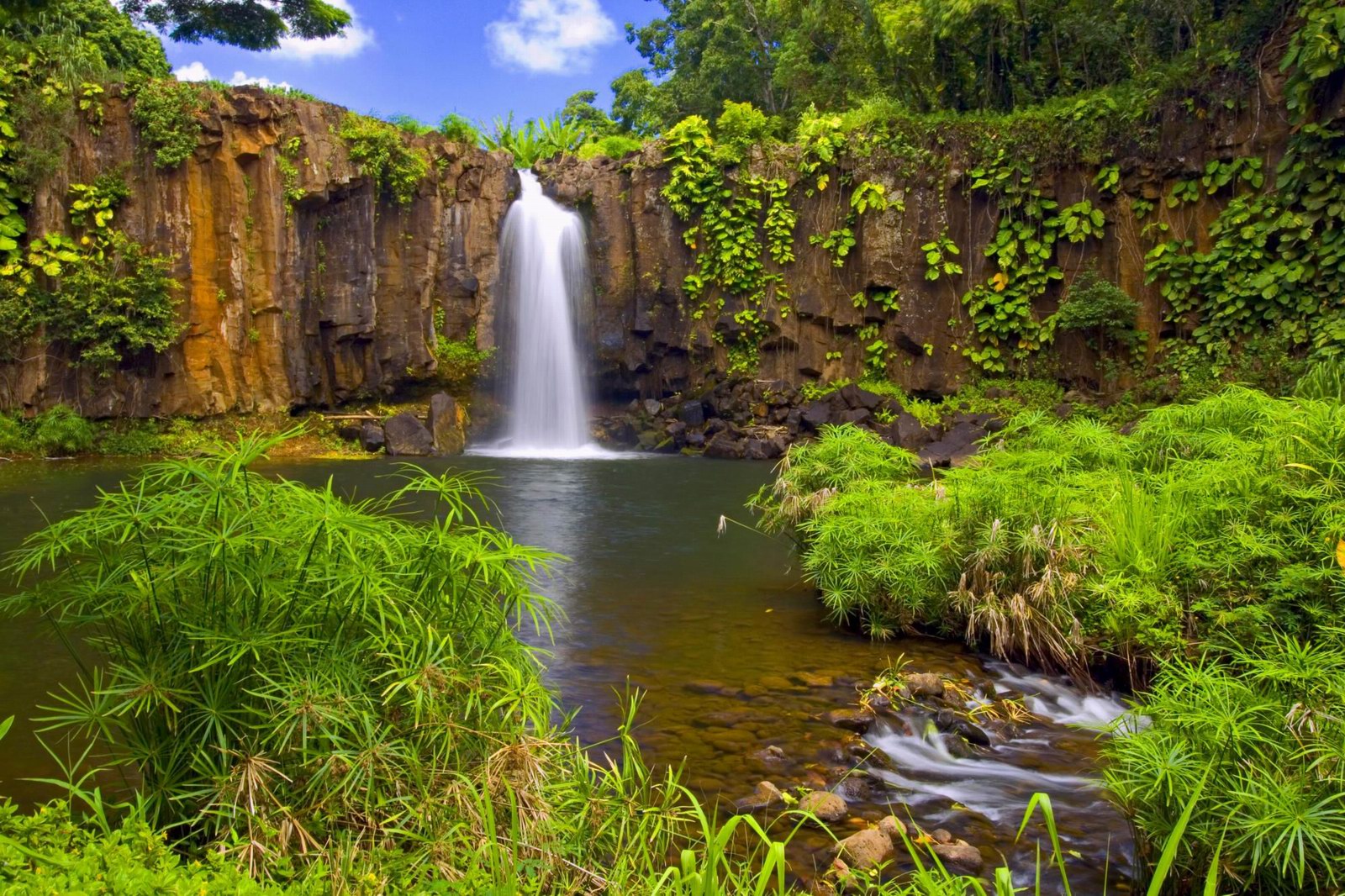 Cascade Jungle Amazon - HD Wallpaper 