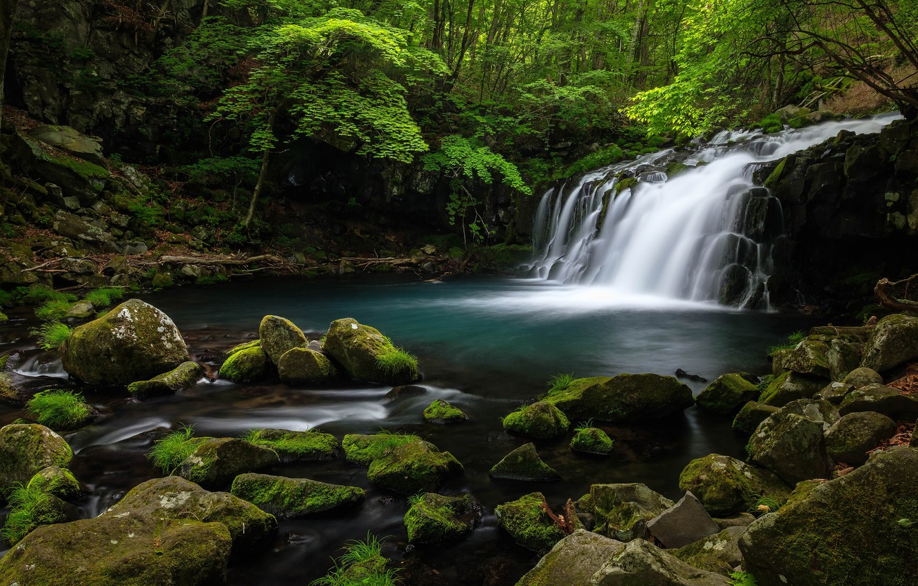 Photo Wallpaper Greens, Forest, Summer, Water, Stones, - Beautiful River In Forest - HD Wallpaper 