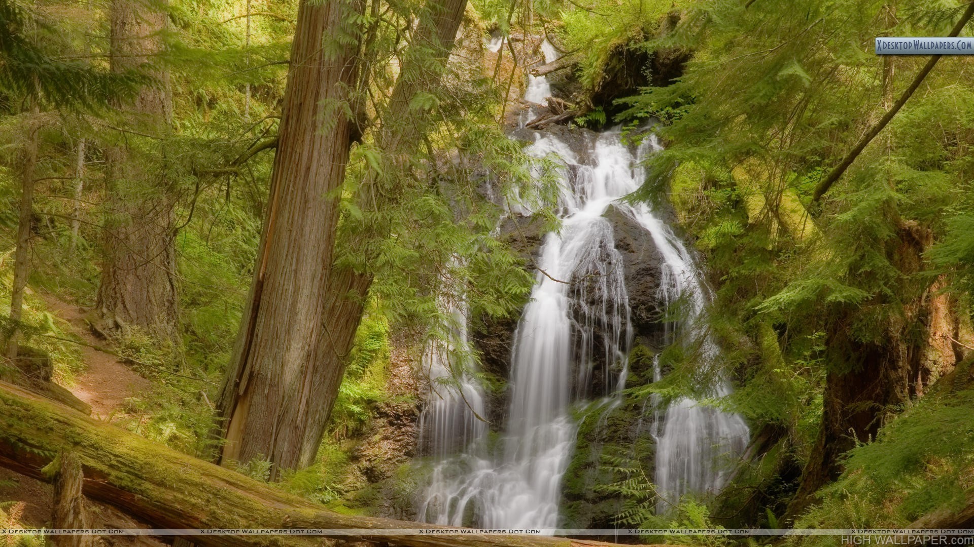 Moran State Park - HD Wallpaper 